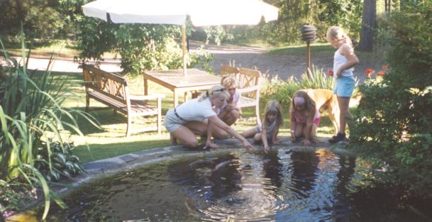 [Pond life in 2001]